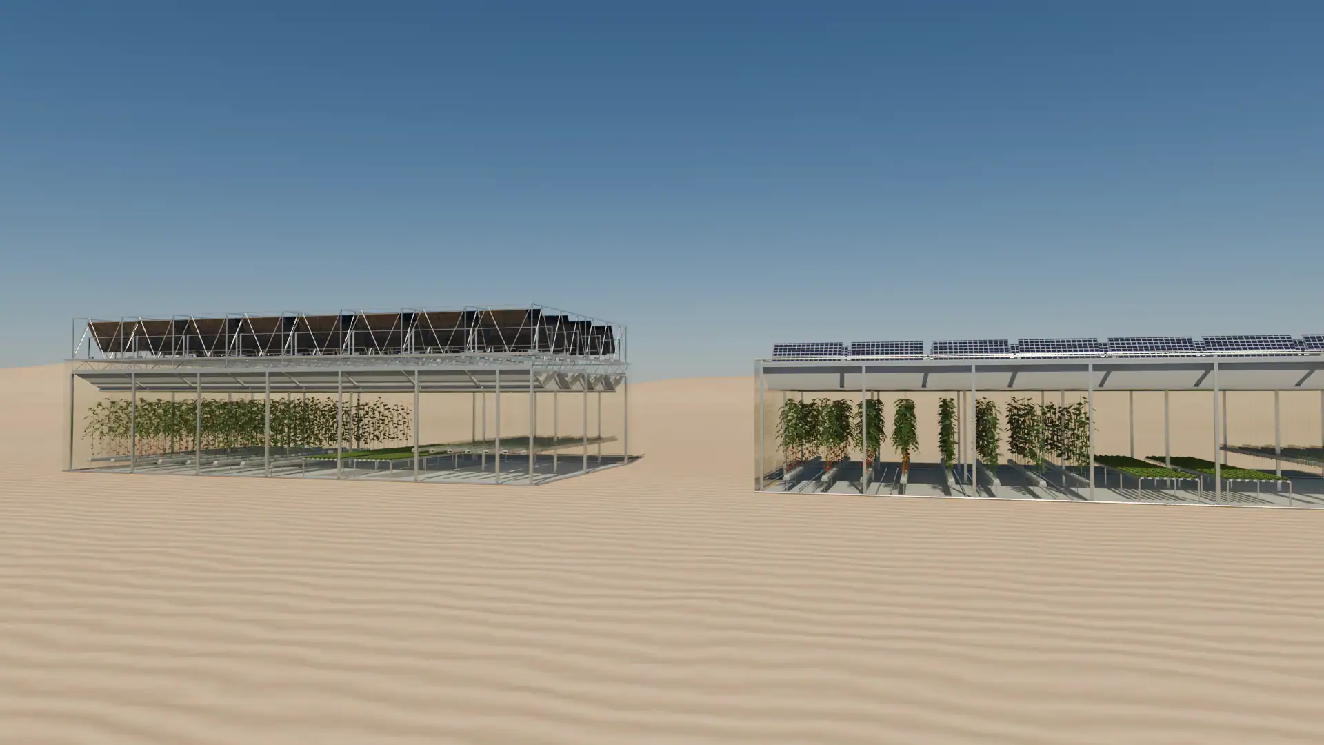 Das SolaGrow-Klimagewächshaus in der Wüste